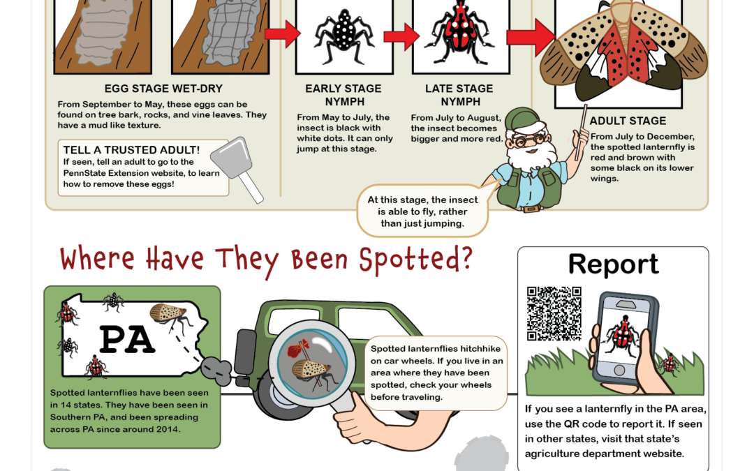 Nature Nate: Stomp Lanternflies!