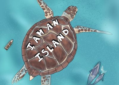 Turtle Illustration