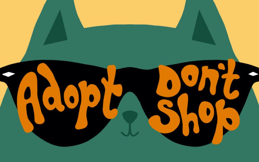 Adopt Dont Shop