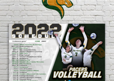 MUVB Posters
