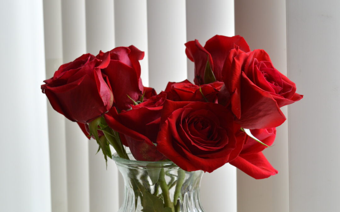 Valentines Day Roses