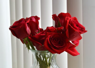 Valentines Day Roses