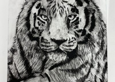 TIGER ETCHING